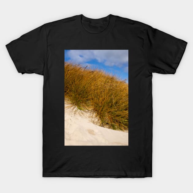 Beach grass. T-Shirt by sma1050